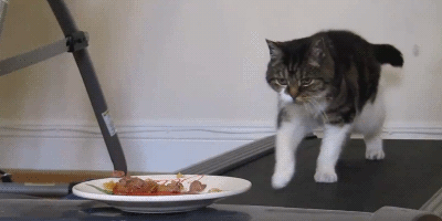 真相|说一个“残忍”的真相：易胖体质是真实存在的