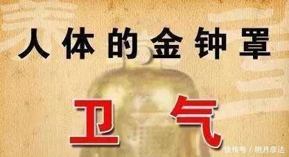 它是补气之最，治一切虚劳，肺气，脾气，肾气，心气，肝气都补齐