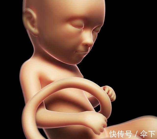 安静型|胎动不一样,宝宝的性格不一样,你的宝宝属于这4种的哪一种!