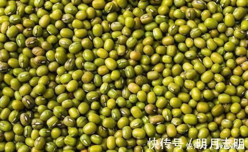 香榧|绿豆和它是天生的“敌人”,不能一起食用,可惜知道的人太少了