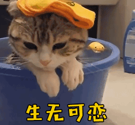 条约|别!喊!妈!了!这位妈妈直接这样做……