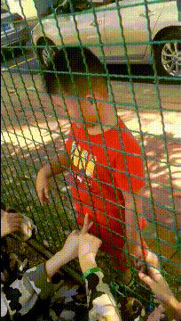 |搞笑GIF趣图:狗子,要不是我被封印住,你能是我的对手??