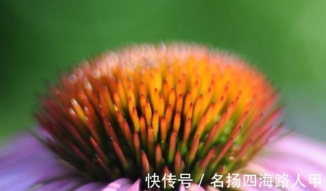 财神|未来半年财神下凡，财气缭绕，天降桃花，机遇多多的3星座！