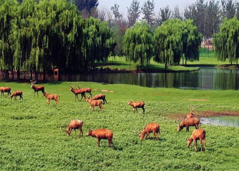老年|古代皇帝狩猎的围场,现在成为了全民参观游玩的旅游景点