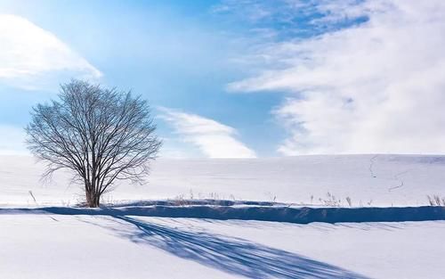 雪祭|日本哪场雪最令你心动？