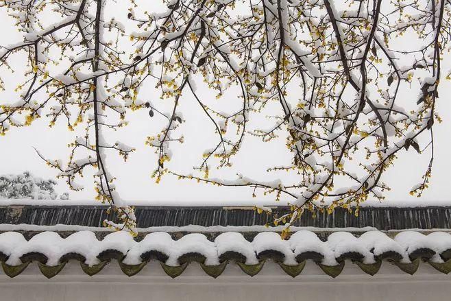  安康|今日大雪，愿君安康！