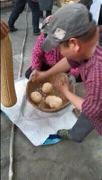 |搞笑GIF:鱼:只要功夫深,迟早有一天我会逃出去的