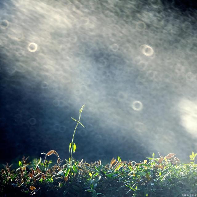 直肠癌|抗癌小伙阿健去世，请将他这份乐观在社会上传递下去