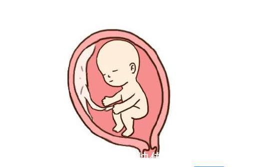 腰酸背痛|怀孕后，孕妈身体出现5个“不适”，说明胎儿在向妈妈报平安呢