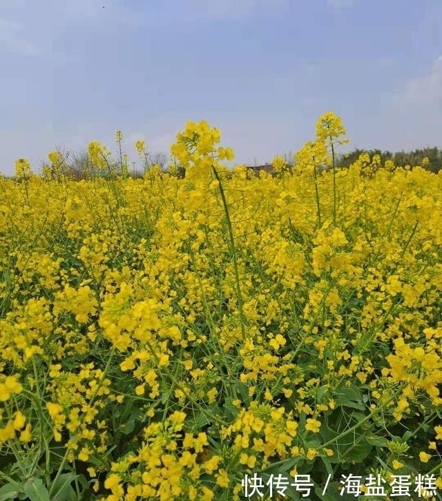 儿童|儿童近视问题不容忽视,远离近视,注意以下几点