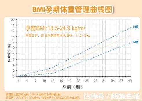 nt|吐血整理最全孕期知识！孕早期+孕中期+孕晚期，秒杀朋友圈不靠谱内容