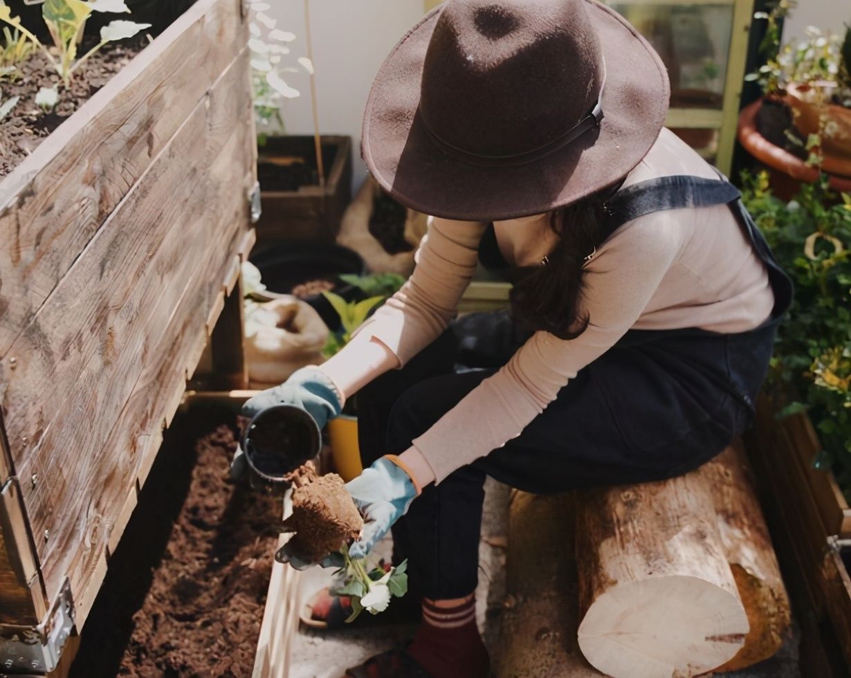 德国主妇将8㎡阳台打造成菜园，不花一分钱种够全家吃的菜