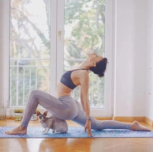 锻炼|便捷高效的瑜伽动作,快节奏生活下也能锻炼,保持身材不能马虎!