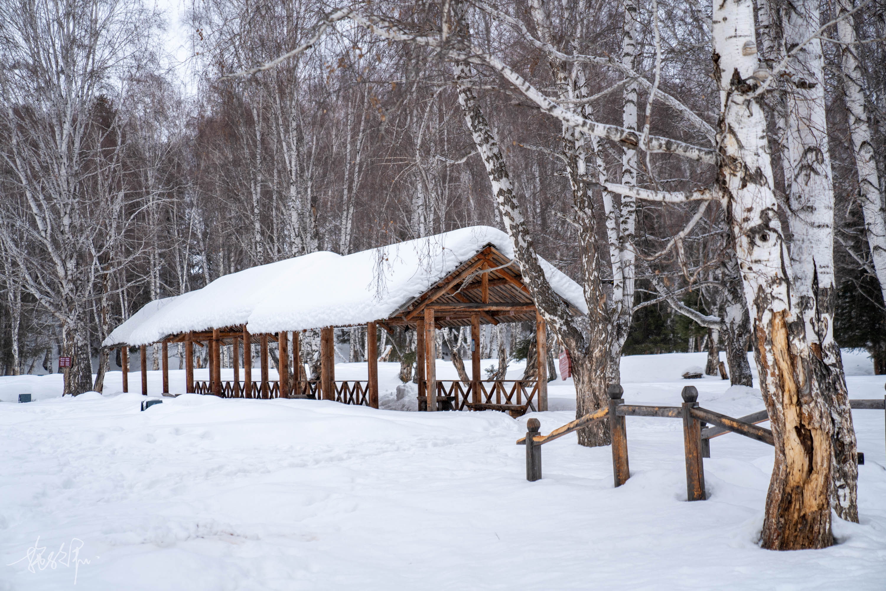 自驾新疆23天：北疆冰雪童话世界（上）