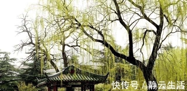 别柳枝&牛!他写诗劝白居易莫怕老,却激起天下所有老人的豪情,名句流传