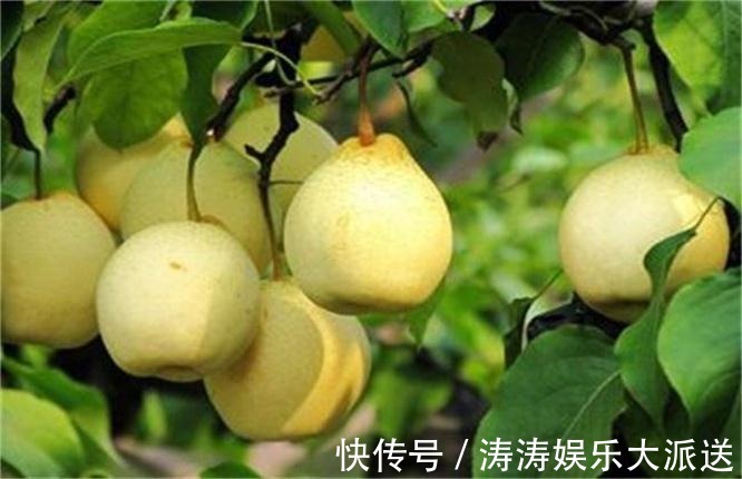 香蕉西葫芦|人到中年,不妨多吃三种水果,滋润皮肤,排出脂肪,利于减肥