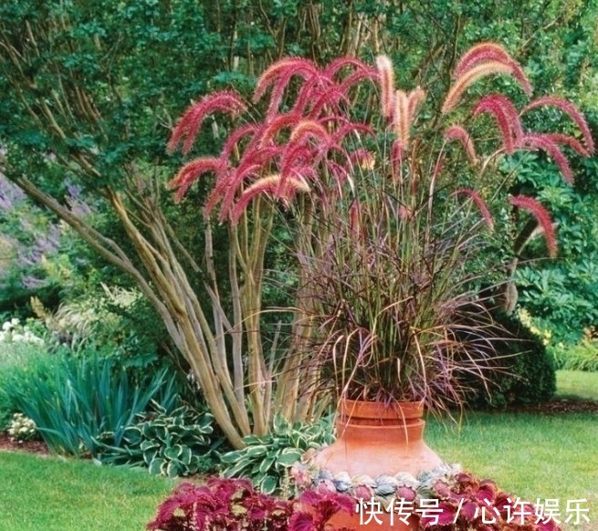 任何容器都能用来做花盆,请收好这30种美丽的花盆搭配设计