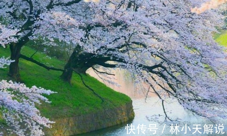 王维$三首唐诗写春天,春光春色春满园,读经典恍若神游胜景一“耍仙”