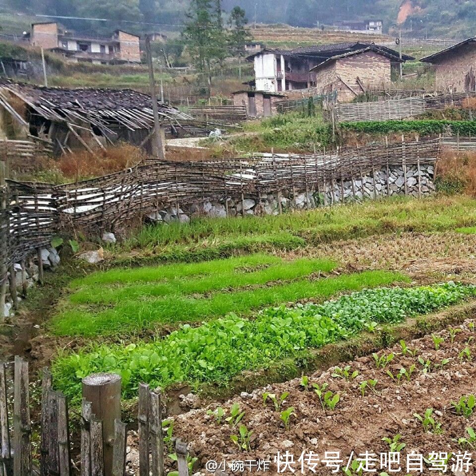 戴云村|不被外界打扰！戴云山下的千年古村落，一个鲜有人知的世外桃源