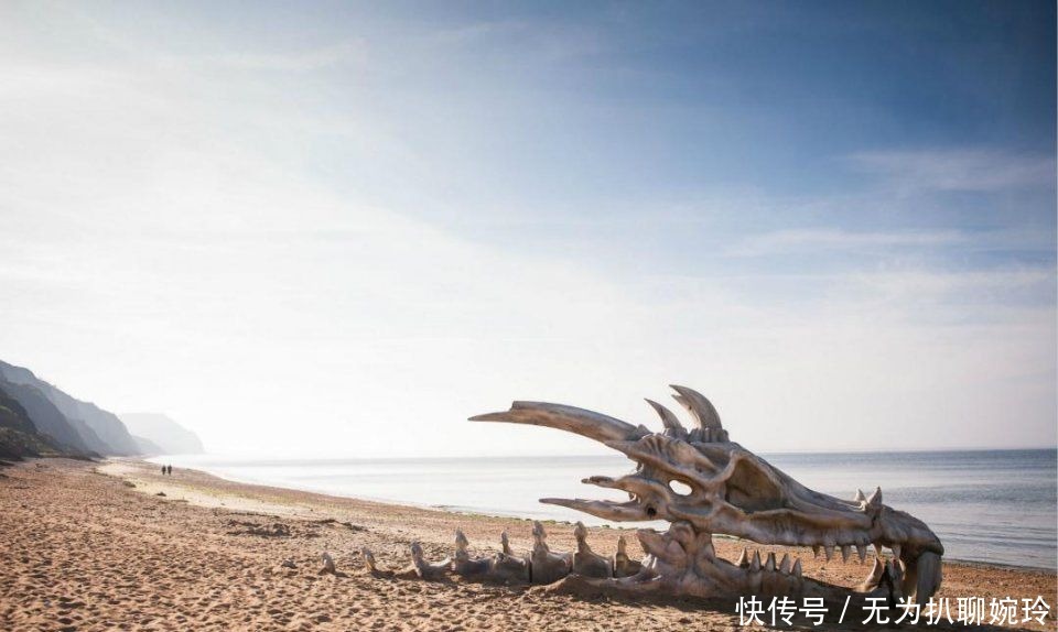 中国|也许有些传说神话中的生物,其实并不是空穴来风?