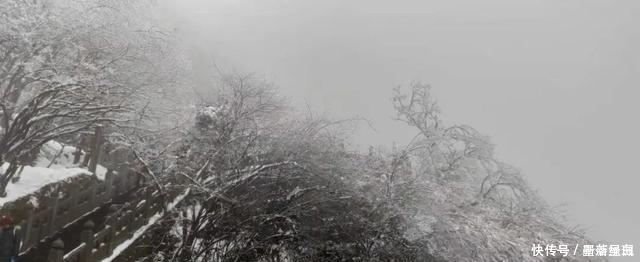 驶向第三极:武当山的雪,惟愿与你再相逢