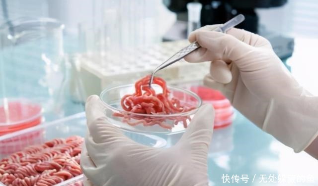 肯德基|肯德基“变”绿了,用植物做汉堡,前景如何