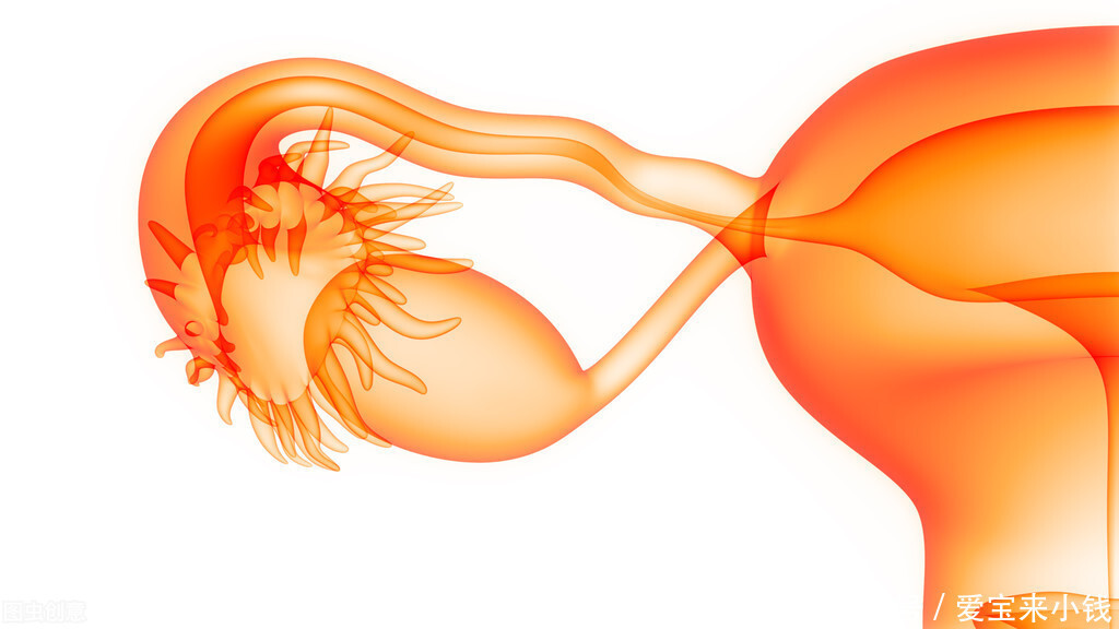 输卵管|输卵管结扎后还可以做试管婴儿吗?