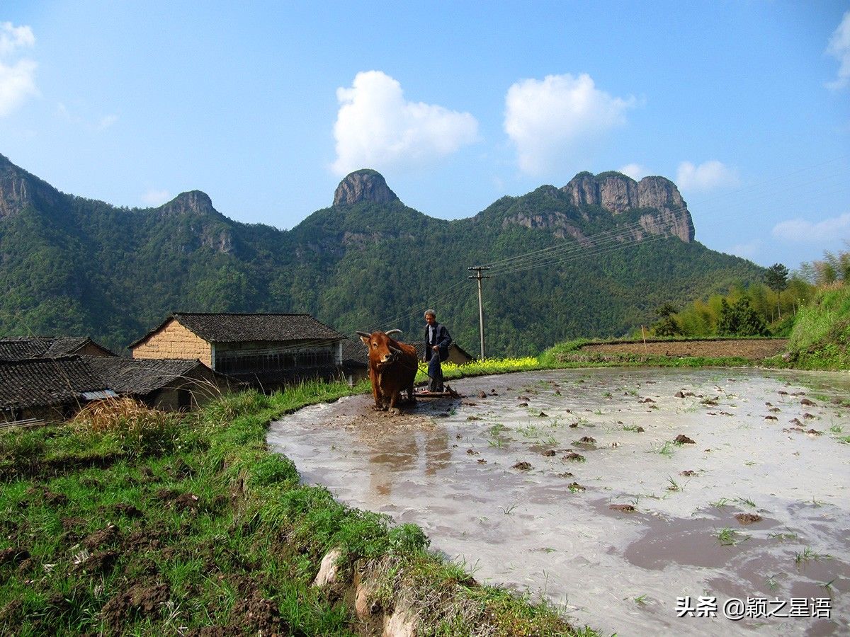 仙居|浙江竟然还有不通公路的村庄，遗落深山，美如世外桃源