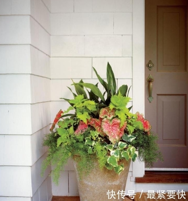 任何容器都能用来做花盆,请收好这30种美丽的花盆搭配设计