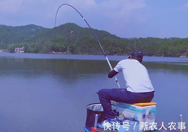 老板|“钓王”邓刚伪装成新手,花260块钓走1000元鲢鳙,老板看到心痛
