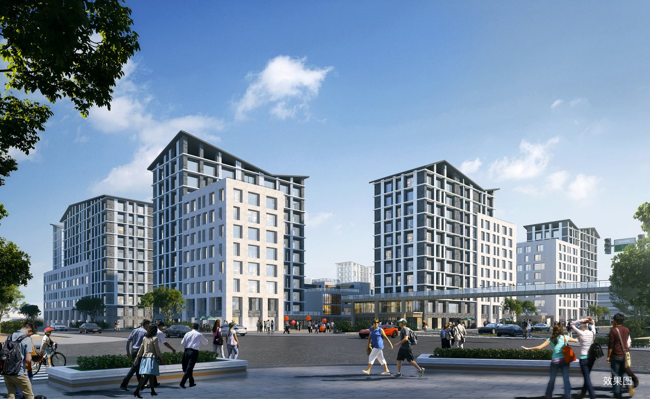 碧桂园|房产销售十三载:用专注和热爱追梦的营销人