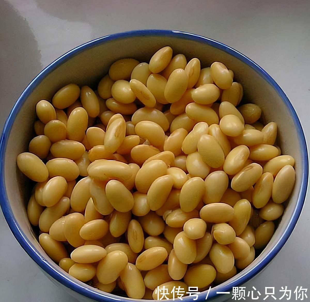 盆栽花卉长得超慢,4个废料垫土壤1/3处,蹭蹭猛长