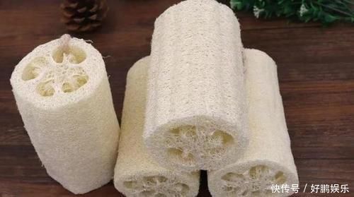 丝瓜络|养花烂根不是大问题!土里埋点它,根须刷刷长满盆,越来越壮实