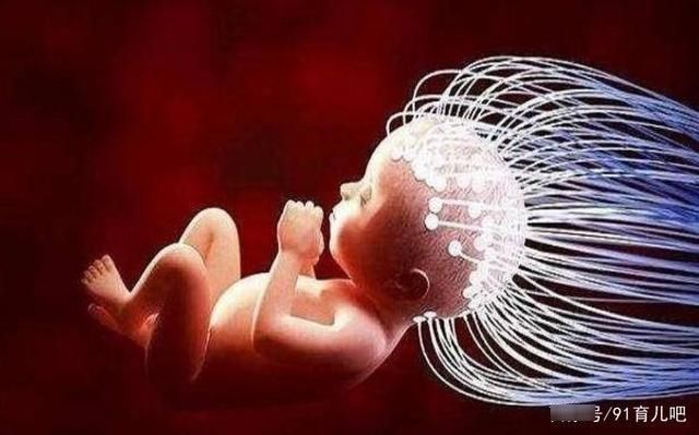 宝宝|哈佛研究：宝宝刚出生的重量越接近这个数，暗示智商可能越高