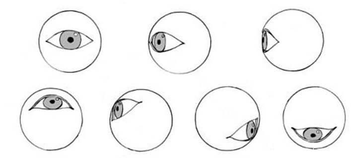 动漫立体感的眼睛怎么画？教你轻松画出富有立体感的眼睛！