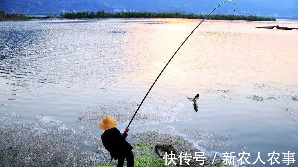 兴趣爱好|男子过年回家闲得无聊去钓鱼,却被打伤缝3针,发帖求网友支招