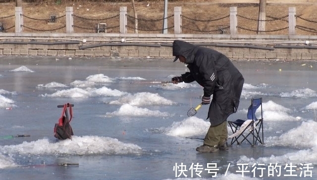 野钓鲫鱼,用几号钩才能中鱼多,跑鱼少呢
