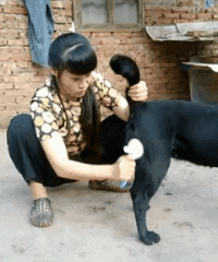 女同桌|“既然老干妈没有与腾讯合作,那么我手里这瓶老干妈是谁生产的?”哈哈哈哈qq飞妈