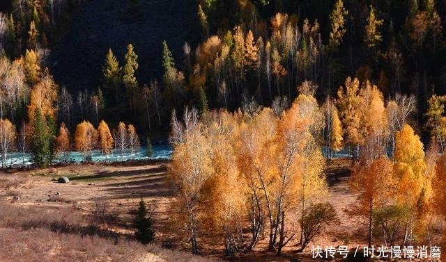 太精明的男人,格局都不大!(深度好文)