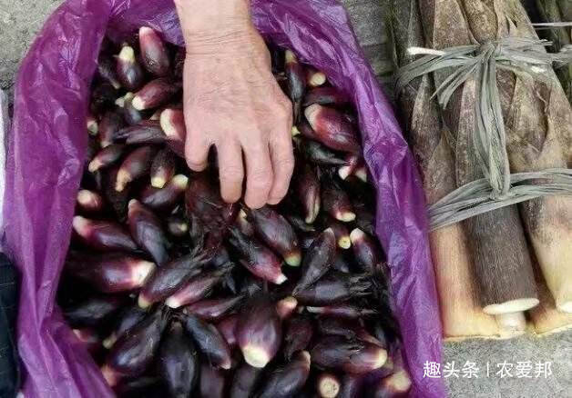 野阳合|这种野菜以前没人要，现在野生的越来越少，成稀罕货，你见过吗