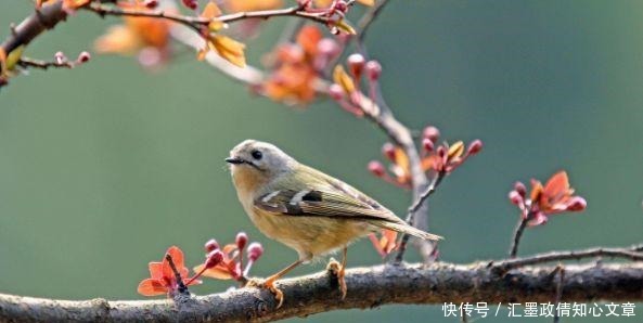 初春|初春，遇见最美的初春诗词