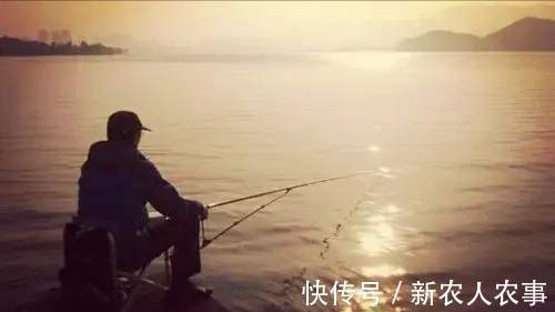 湖北一男子冒着寒冷通宵夜钓,妻子发现鱼获不对劲,网友:别乱想