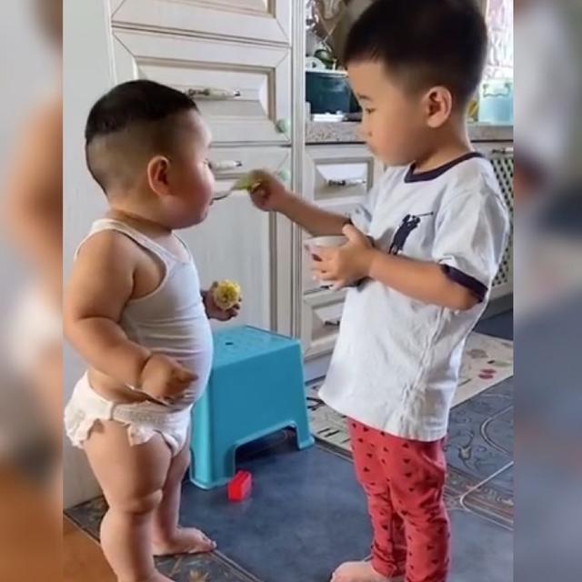 二宝|哥哥耐心地给弟弟“喂饭”火了,网友留下弟弟被哥哥喂胖的证据
