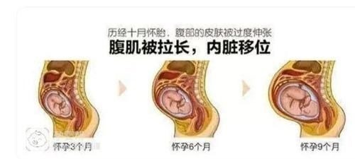 子宫|胎儿那么大，孕妇的内脏都跑哪了？看完这张图网友表示：心疼女人