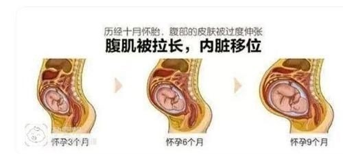 子宫|胎儿那么大,孕妇的内脏都跑哪了?看完这张图网友表示:心疼女人