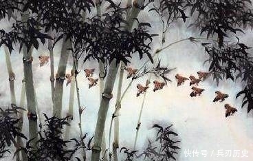 十二首描写鸟的古诗词,爱护鸟儿,更喜欢诗词