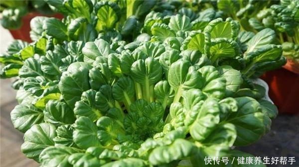 霜打过的菜为何甜这4种菜不怕冻,别错过最后一种,越冷越好吃