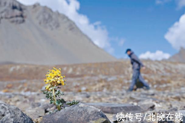 全球气候变暖|是什么让他留在梅里雪山，一留就是十六年？