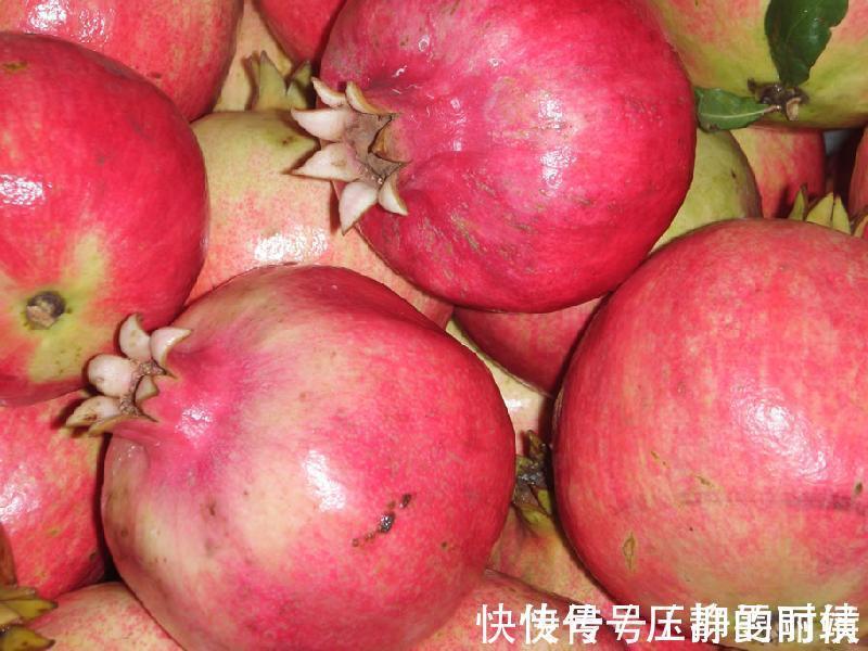 垃圾|人到中年想长寿,三种食物不可少,清理体内垃圾,提高免疫力