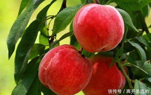 好食物要多吃,3种离不开,补充营养,身体棒棒